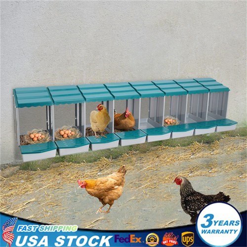 Grid green chicken - chicken, nesting