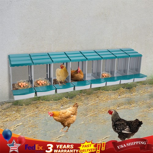 Grid green chicken nesting - 8-grid,