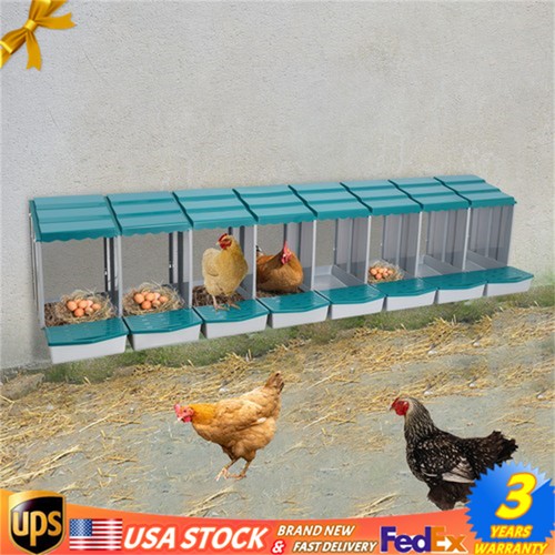 Grid green chicken - 8-grid, nesting