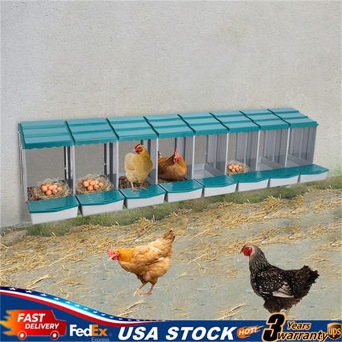 Grid green chicken - 8-grid, nesting