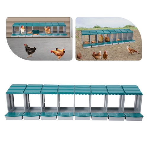 Grid green chicken nesting - chicken,